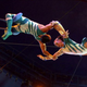 Image for article titled Circus - "First of May" and "One Ring Family"